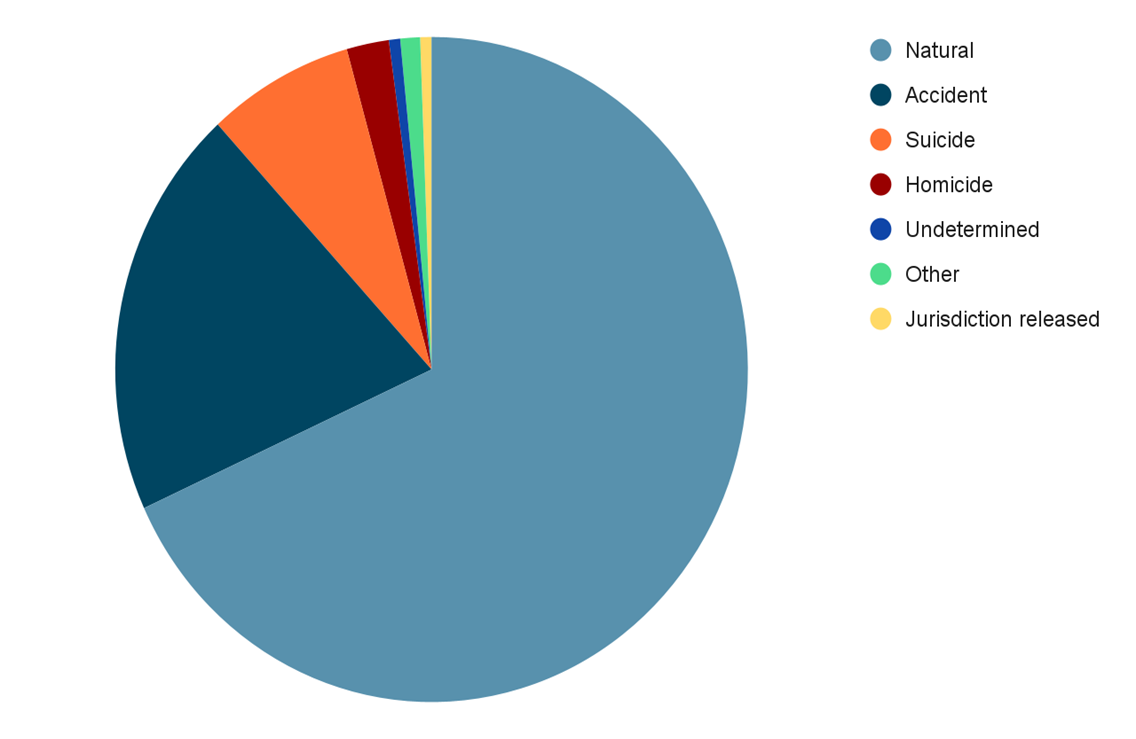 Manner of Death Overview